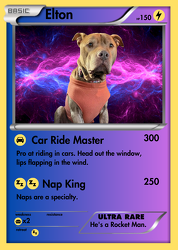 RALémon cards - 6 pack, includes shipping