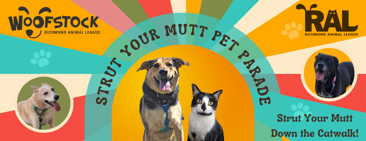 Woofstock - Strut Your Mutt Pet Parade